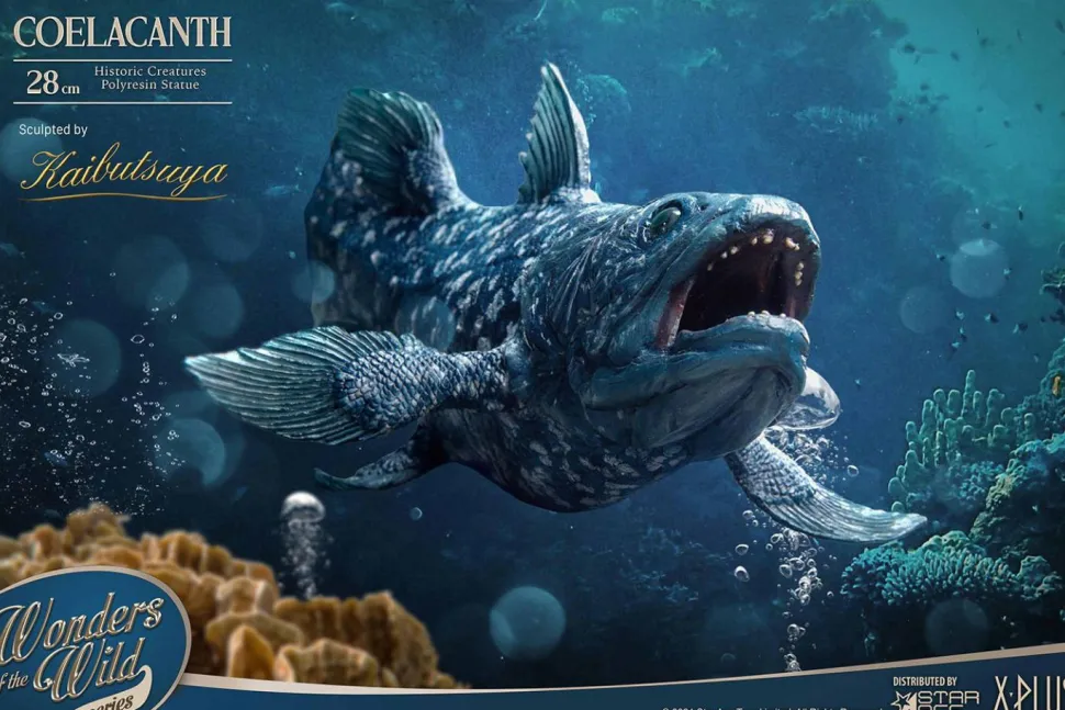 Wonders of the Wild - Coelacanth & Fossil Deluxe 7” Statue