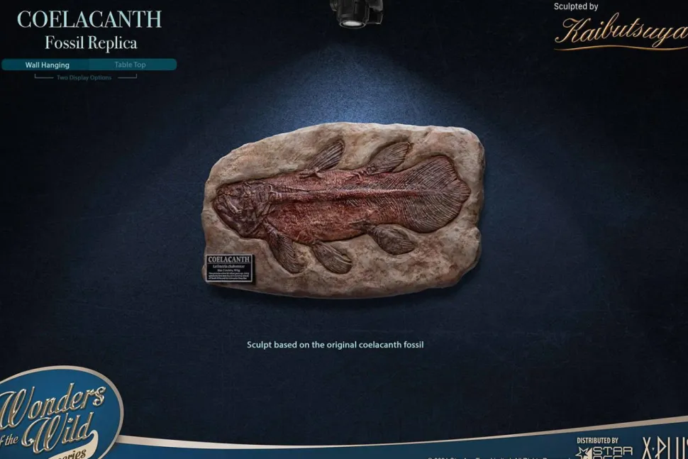 Wonders of the Wild - Coelacanth & Fossil Deluxe 7” Statue