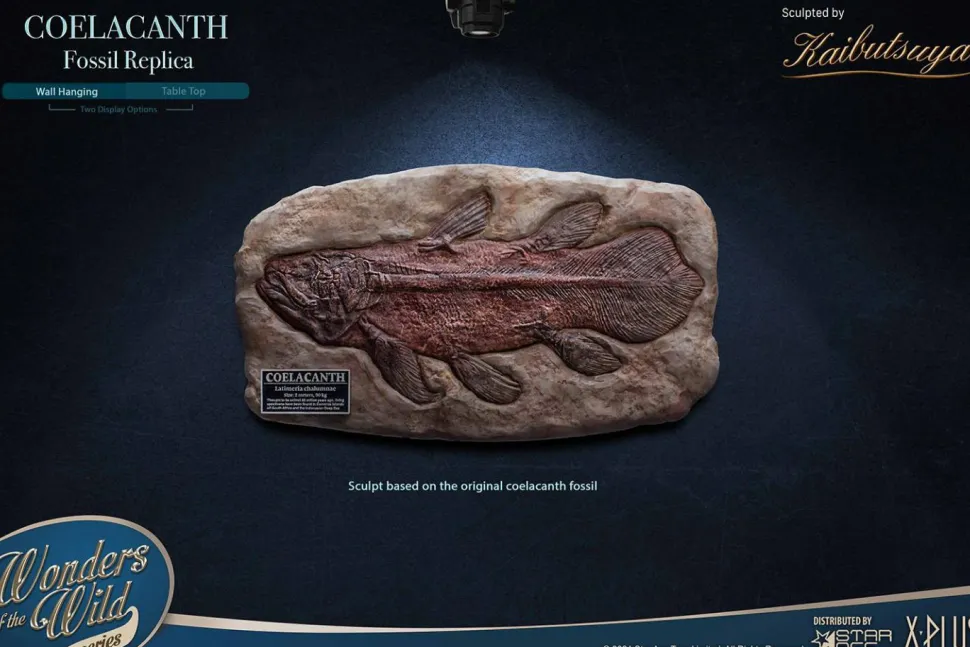 Wonders of the Wild - Coelacanth & Fossil Deluxe 7” Statue