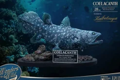 Wonders of the Wild - Coelacanth & Fossil Deluxe 7” Statue