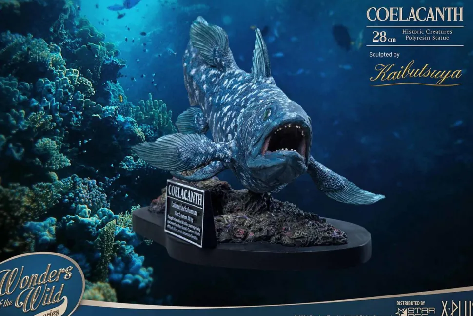 Wonders of the Wild - Coelacanth & Fossil Deluxe 7” Statue