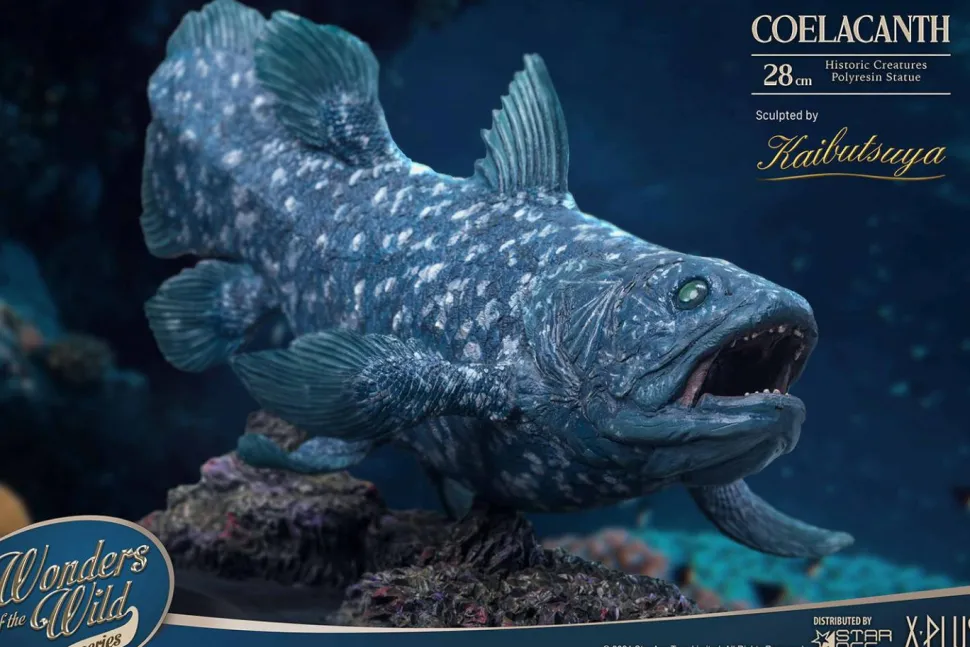 Wonders of the Wild - Coelacanth & Fossil Deluxe 7” Statue