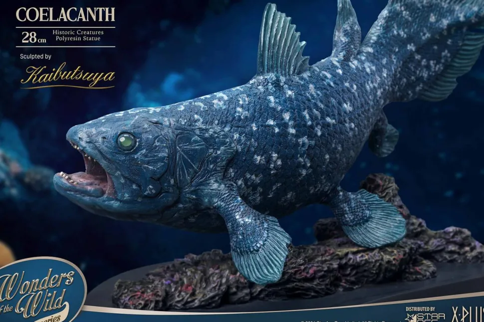 Wonders of the Wild - Coelacanth & Fossil Deluxe 7” Statue