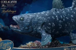 Wonders of the Wild - Coelacanth & Fossil Deluxe 7” Statue