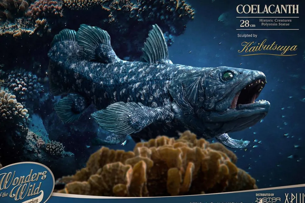 Wonders of the Wild - Coelacanth & Fossil Deluxe 7” Statue