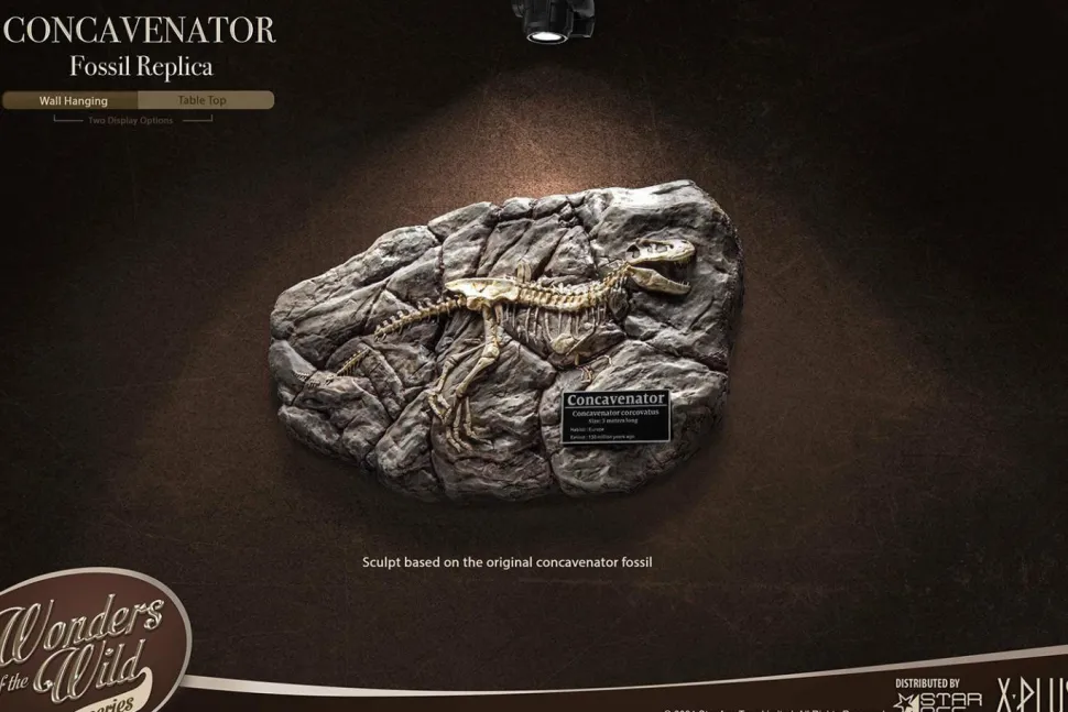 Wonders of the Wild - Concavenator & Fossil Deluxe 10” Statue