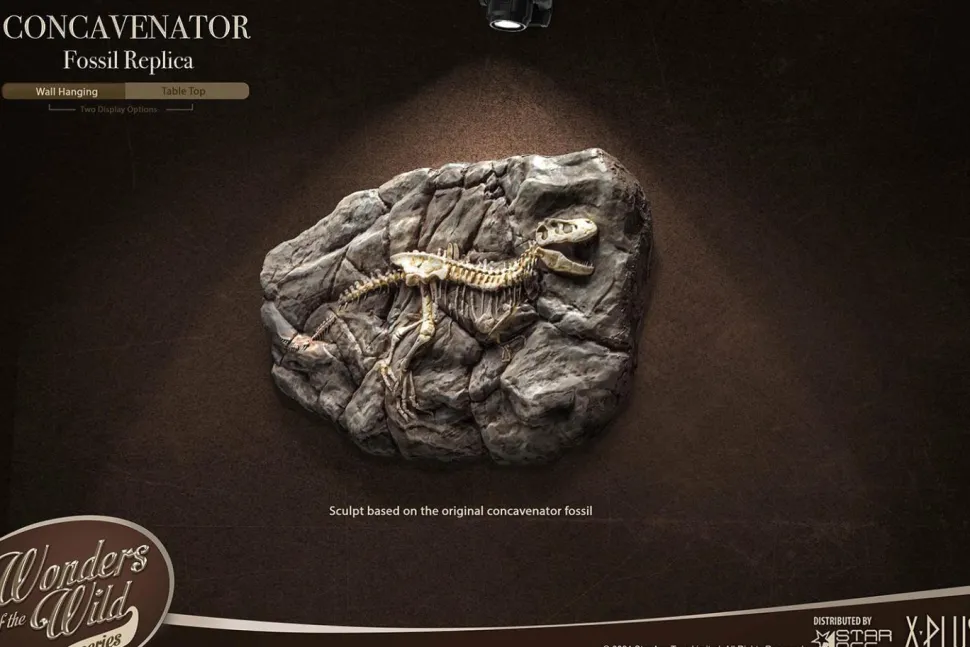 Wonders of the Wild - Concavenator & Fossil Deluxe 10” Statue
