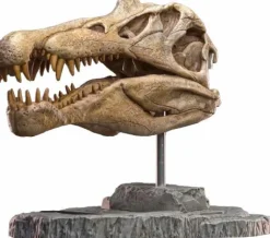 Wonders of the Wild - Spinosaurus Skull 7” Statue