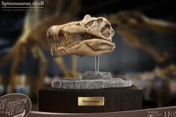Wonders of the Wild - Spinosaurus Skull 7” Statue