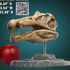 Wonders of the Wild - Spinosaurus Skull 7” Statue