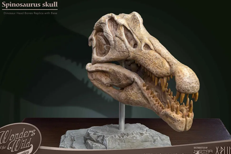 Wonders of the Wild - Spinosaurus Skull 7” Statue