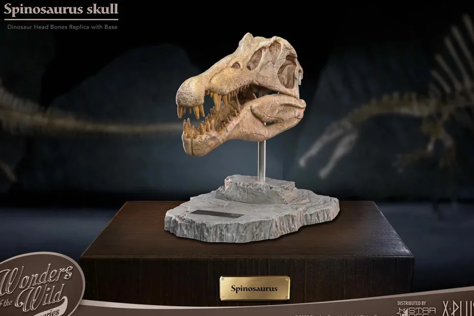 Wonders of the Wild - Spinosaurus Skull 7” Statue