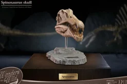 Wonders of the Wild - Spinosaurus Skull 7” Statue