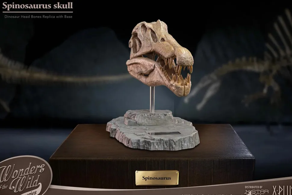 Wonders of the Wild - Spinosaurus Skull 7” Statue