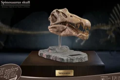 Wonders of the Wild - Spinosaurus Skull 7” Statue