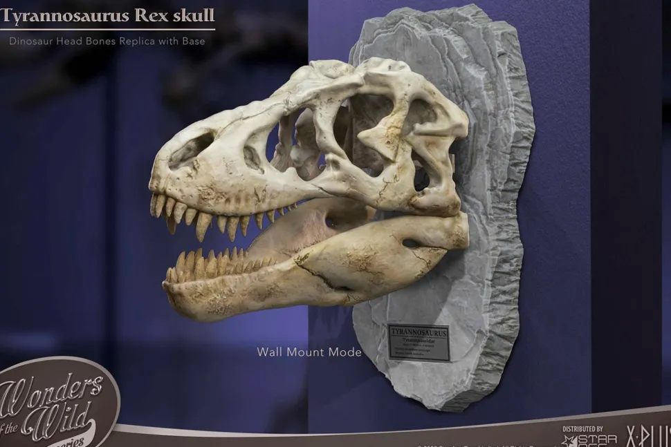 Wonders of the Wild - Tyrannosaurus Rex Skull 7” Statue