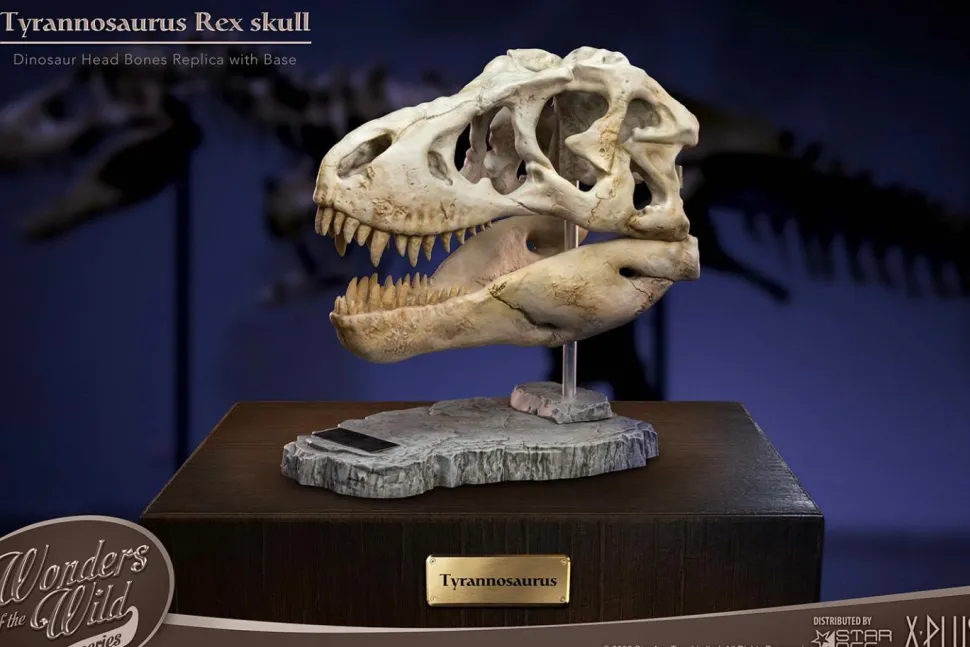 Wonders of the Wild - Tyrannosaurus Rex Skull 7” Statue