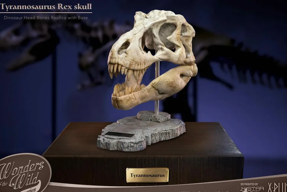Wonders of the Wild - Tyrannosaurus Rex Skull 7” Statue