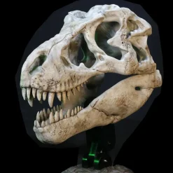 Wonders of the Wild - Tyrannosaurus Rex Skull Fossil 11" Scaled Replica Statue