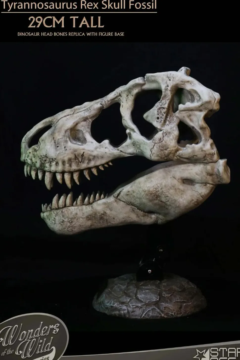 Wonders of the Wild - Tyrannosaurus Rex Skull Fossil 11" Scaled Replica Statue