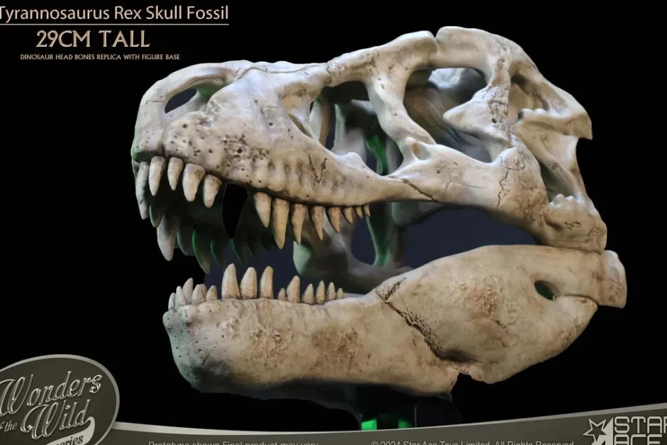 Wonders of the Wild - Tyrannosaurus Rex Skull Fossil 11" Scaled Replica Statue