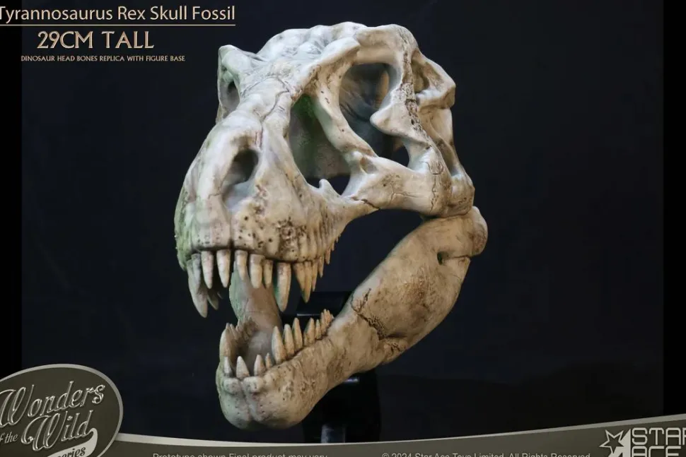 Wonders of the Wild - Tyrannosaurus Rex Skull Fossil 11" Scaled Replica Statue