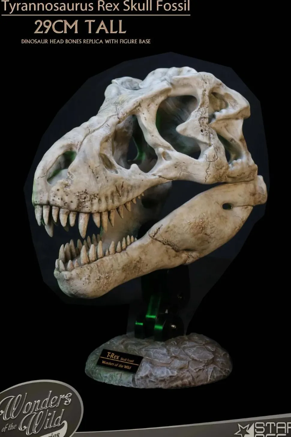Wonders of the Wild - Tyrannosaurus Rex Skull Fossil 11" Scaled Replica Statue