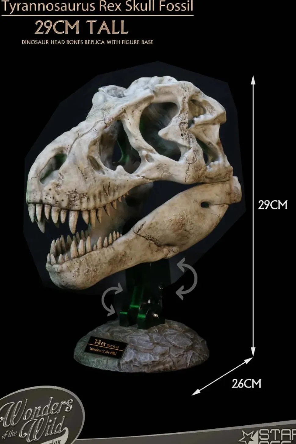 Wonders of the Wild - Tyrannosaurus Rex Skull Fossil 11" Scaled Replica Statue
