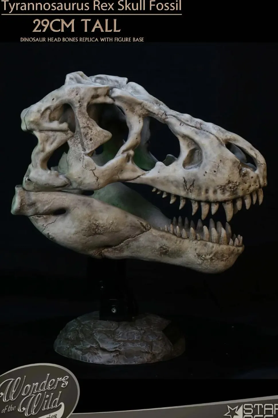 Wonders of the Wild - Tyrannosaurus Rex Skull Fossil 11" Scaled Replica Statue