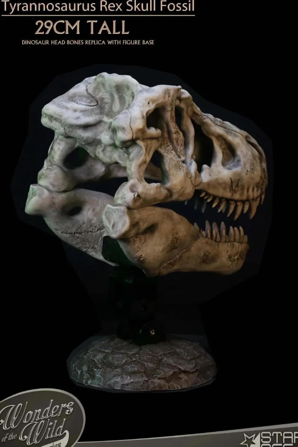 Wonders of the Wild - Tyrannosaurus Rex Skull Fossil 11" Scaled Replica Statue