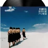 Wye Oak - The Louder I Call, The Faster It Runs LP Vinyl Record